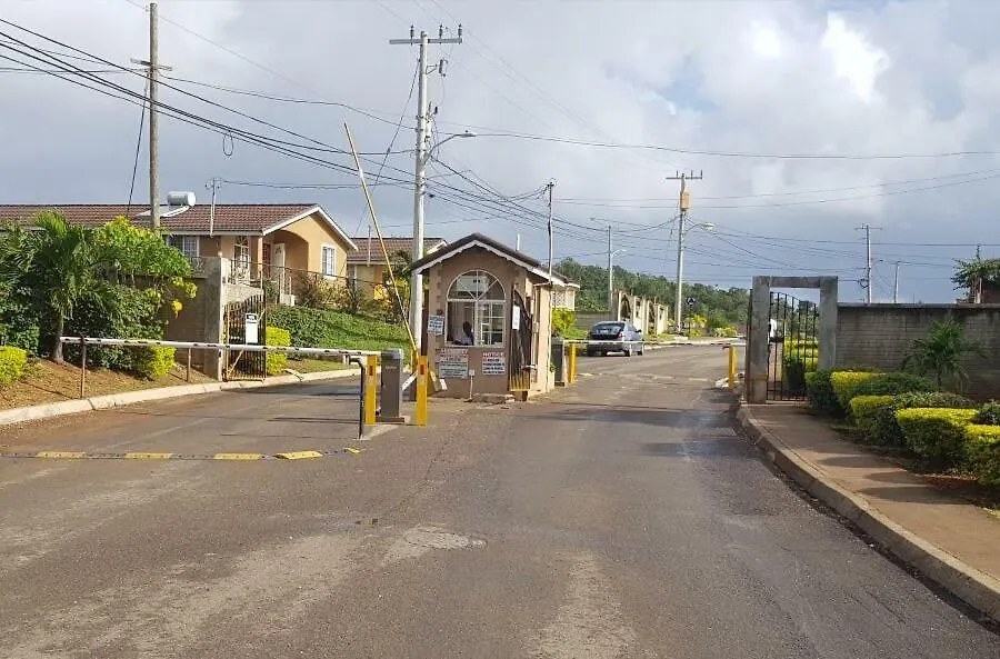 בית נופש פאלמאות' Spring Top Cottage ג'מייקה